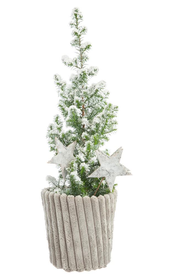 Visuel 1 du produit Mini sapin effet givre en cache-pot effet velours côtelé – Ø 10 cm