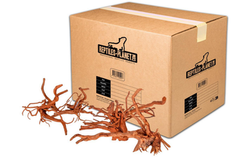 Visuel 1 du produit Décoration pour aquarium en bois racine araignée Reptiles Planet - Taille M (26 à 35 cm)