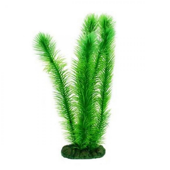 Visuel 1 du produit Plante artificielle pour aquarium, rotala, 30cm, AQUA NOVA