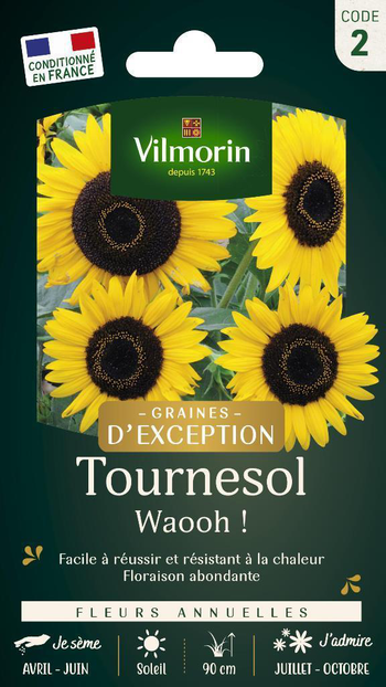 Visuel 1 du produit Graines de Tournesol Waooh ! Vilmorin Graines d‘exception - graines à semer