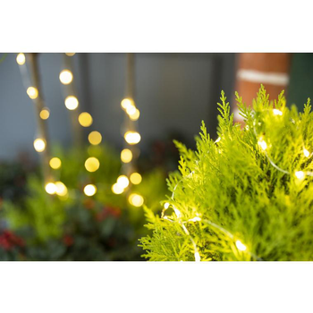 Visuel 1 du produit Gold crest tige 2 boules - Le pot de 2.5 litres