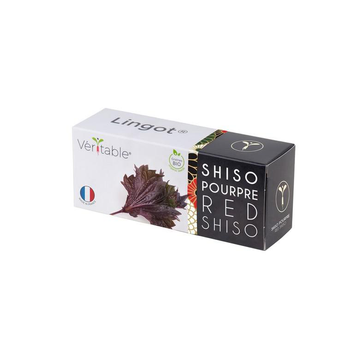 Visuel 1 du produit Lingot Shiso pourpre bio