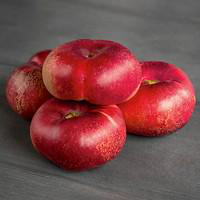 Visuel 1 du produit Pommier Melrose. En racine nue, forme gobelet