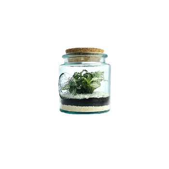Visuel 1 du produit Terrarium autonome Mao L botanic® - Ø 12 x 14 cm