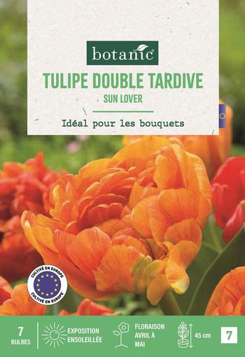 Visuel 1 du produit Tulipe d.t. sun lover X7
