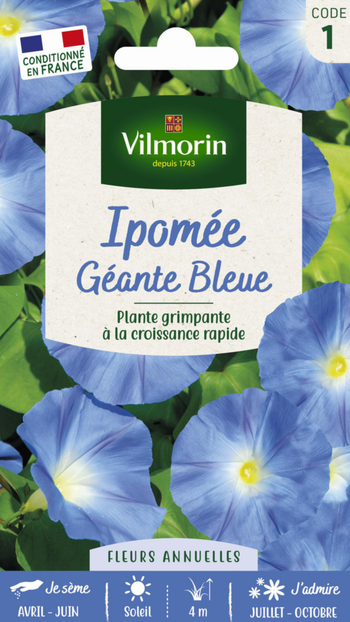 Visuel 1 du produit Graines de Ipomée Géante Bleue Vilmorin - graines à semer