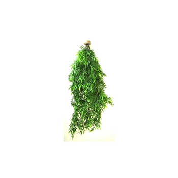 Visuel 1 du produit Suspension algue verte en plastique 80 cm