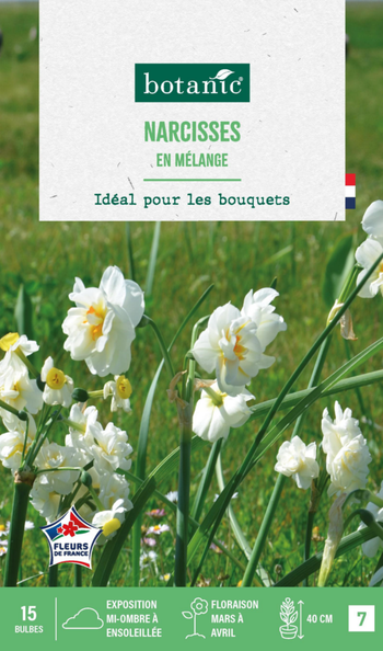 Visuel 1 du produit Narcisse en mélange botanic® - 15 bulbes