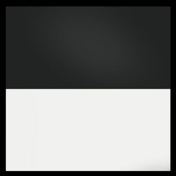 Visuel 1 du produit Poster de fond noir et blanc pour aquarium JUWEL - taille S 60x30 cm