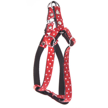 Visuel 1 du produit Harnais baudrier Pois pour chien coloris rouge - XS