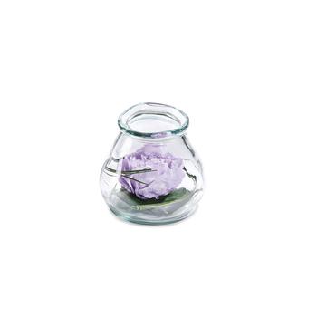 Visuel 1 du produit Verrine de végétaux stabilisés pivoine mauve lilas Naturalys Samy M - Ø 12 x H 12 cm