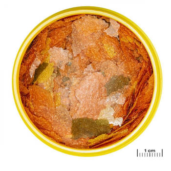 Visuel 1 du produit Flakes pour poisson ProNovo Tanganyika, taille M, JBL - contenance 5,5L, 950g