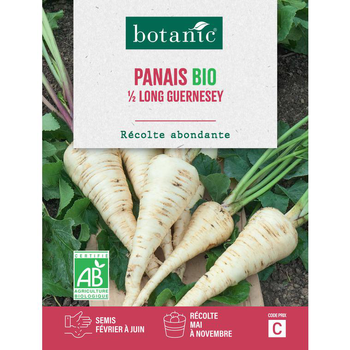 Visuel 1 du produit Graines de panais demi-long de Guernesey bio botanic® - graines à semer