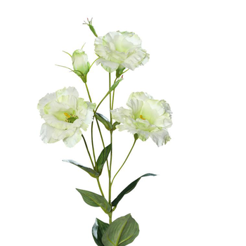 Visuel 1 du produit Lisianthus artificiel H83 cm