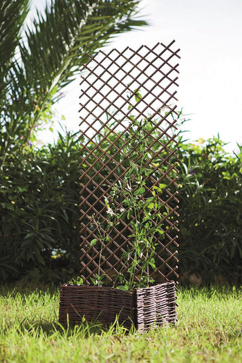 Visuel 1 du produit Treillis extensible en osier naturel Nortene Treilliwillow - 0,50 x 1,50 m