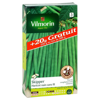 Visuel 1 du produit Haricot nain sans fil Skipper Vilmorin - graines à semer