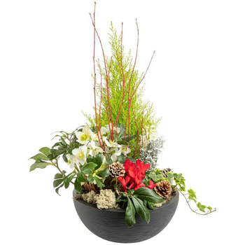 Visuel 1 du produit Composition de Noël coupe graphique multicolore - 40 cm