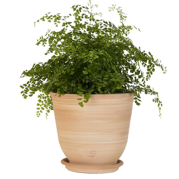 Plat Rectangulaire En Terre Cuite Naturelle Amazing Cookware - Profond (9cm), 2 Litres, 32x24 Cm - Pour Four, Gaz, BBQ