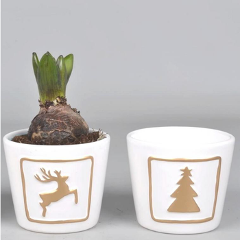 Visuel 1 du produit Jacinthe en pot décoratif de 10 cm