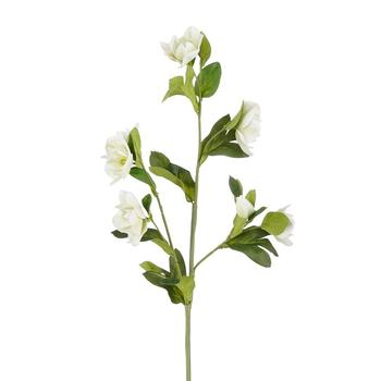 Visuel 1 du produit Tige artificielle d’hellébore en polyester crème - 80 cm