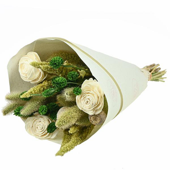 Visuel 1 du produit Bouquet de fleurs séchées Naturalys Sola S vert et blanc - 50 cm