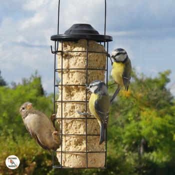 Visuel 1 du produit Cylindre de graisse pour oiseaux aux cacahuètes