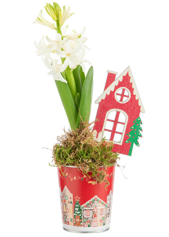 Visuel 1 du produit Jacinthe x 1 pot zinc rouge décor village - Ø 8 cm