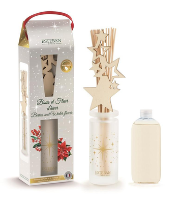 Visuel 1 du produit Bouquet parfumé et recharge Esteban Baies et fleurs d’hiver - 100 ml
