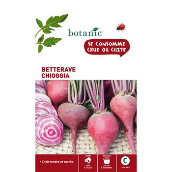 Visuel 1 du produit Graines de Betterave potagère Chioggia botanic® - graines à semer