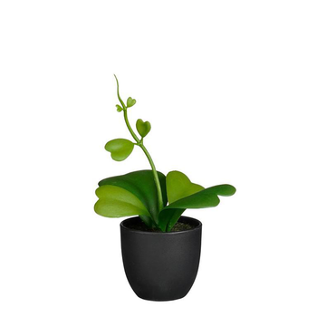 Visuel 1 du produit Hoya artificiel vert en pot - 17 x 13 x 22 cm