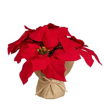Visuel 1 du produit Poinsettia artificiel rouge en pot avec toile de jute - Ø 22 x H 20 cm