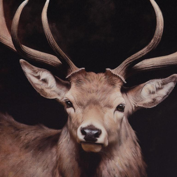 Visuel 1 du produit Toile peinte avec Cerf - 80 x 80 cm