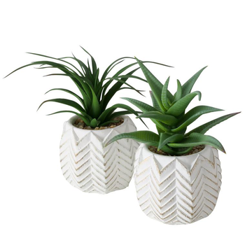 Visuel 1 du produit Plante artificielle en pot blanc - 14 cm