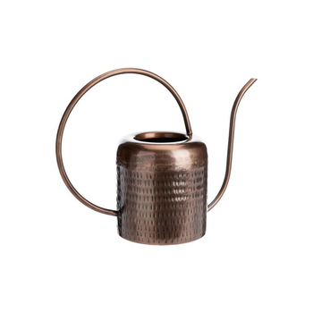 Visuel 1 du produit Arrosoir en métal bronze antique martelé - 35 x 15 x 27 cm