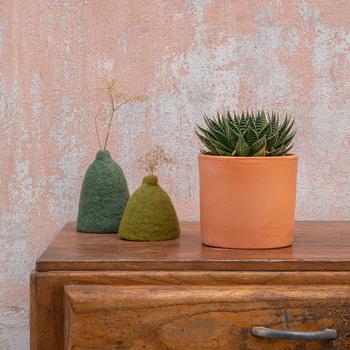 Visuel 1 du produit Aloe aristata botanic®. Le pot en terre cuite de Ø 14 cm