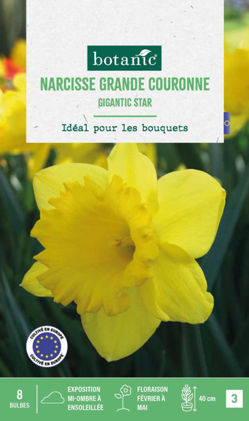 Visuel 1 du produit Narcisse gigantic star botanic® - 8 bulbes