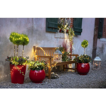 Visuel 1 du produit Gold crest tige 2 boules - Le pot de 2.5 litres