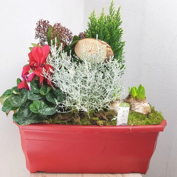 Visuel 1 du produit Jardinière de Noël 40 cm - La jardinière de 40 cm