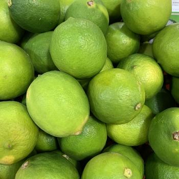 Visuel 1 du produit Lime de Tahiti. Le pot de 5 litres