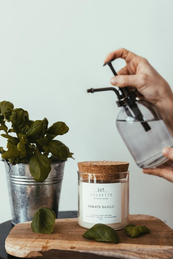 Visuel 1 du produit Bougie parfumée avec pochon Saugettes Les Essentielles senteur tomate Basilic - 100 g