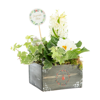 Visuel 1 du produit Composition florale Automne Hiver pot bois - 14 x 14 cm