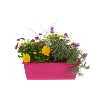 Visuel 1 du produit Jardinière de Printemps. La jardinière de 40 cm