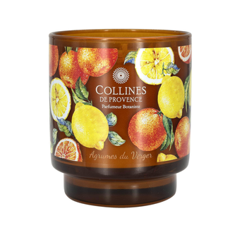 Visuel 1 du produit Bougie parfumée en verre décoré senteur Agrumes du Verger Collines de Provence – 220 g