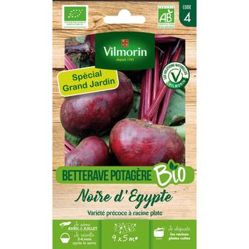 Visuel 1 du produit Graines de betterave Egypte bio coloris rose Vilmorin jardin - graines à semer