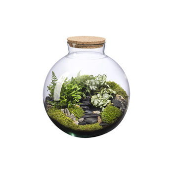 Visuel 1 du produit Terrarium autonome Havana  Landscape botanic® - taille L