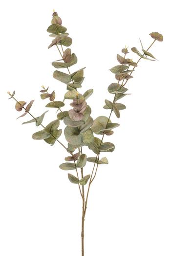 Visuel 1 du produit Branche d'eucalyptus vert et gris - Ø 20 x H 97 cm