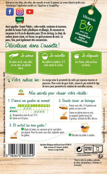 Visuel 1 du produit Sachet de semences potagères graine de courge delicata