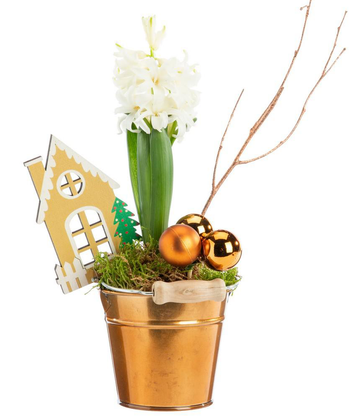 Visuel 1 du produit Jacinthe composition hiver pot cuivré - Ø 9,5 cm