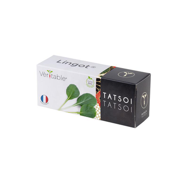 Visuel 1 du produit Lingot® Tatsoi bio pour potager Véritable
