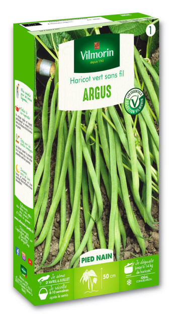 Visuel 1 du produit Haricot argus nain vert Vilmorin - graines à semer